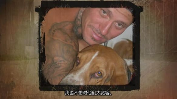 狗儿救援迎新生 第1季 Pit Bulls and Parolees插图1 狗儿救援迎新生 第1季 Pit Bulls and Parolees