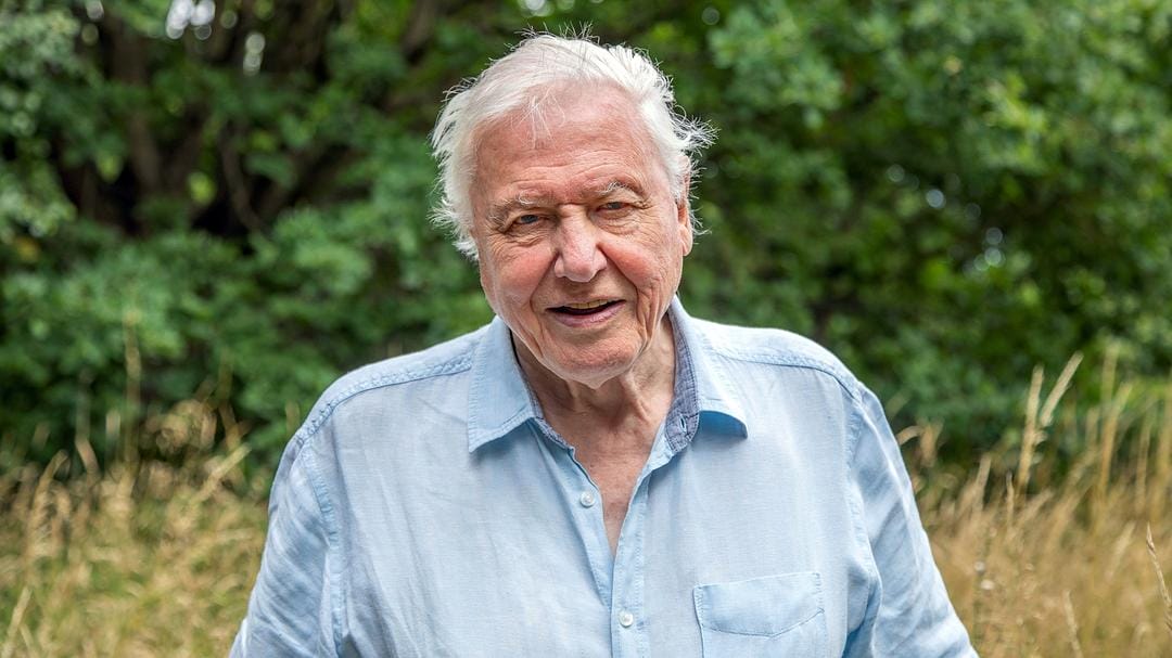 完美星球 A Perfect Planet插图3 完美星球 A Perfect Planet