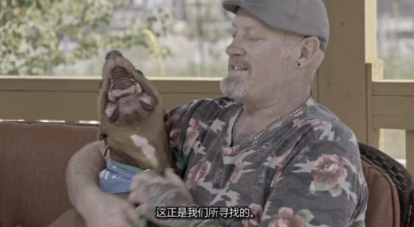 狗儿救援迎新生 第19季 Pit Bulls and Parolees插图2 狗儿救援迎新生 第19季 Pit Bulls and Parolees