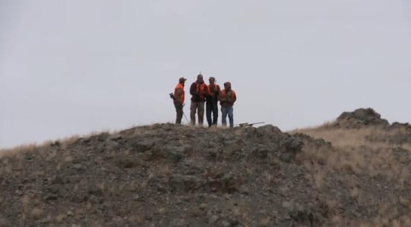 黄石公园守卫者 第3季 Yellowstone Wardens插图3 黄石公园守卫者 第3季 Yellowstone Wardens