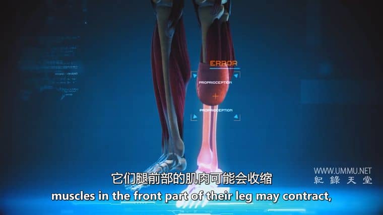 我的多发性硬化症增强与预测 Augmented & Predicting My MS插图3 我的多发性硬化症增强与预测 Augmented & Predicting My MS