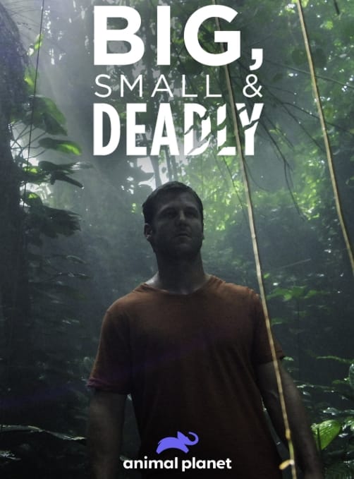 大的、小的和致命的 Big, Small & Deadly插图 大的、小的和致命的 Big, Small & Deadly