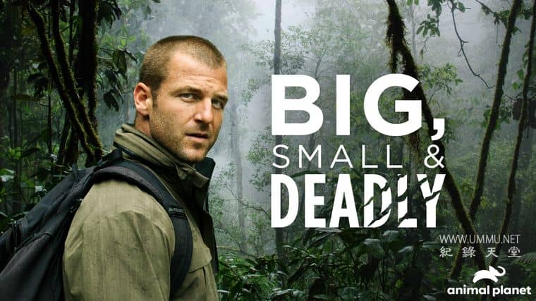 大的、小的和致命的 Big, Small & Deadly插图1 大的、小的和致命的 Big, Small & Deadly