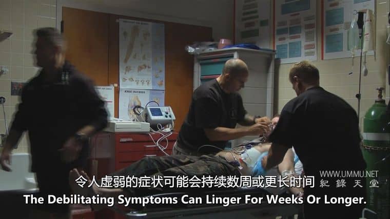 大的、小的和致命的 Big, Small & Deadly插图4 大的、小的和致命的 Big, Small & Deadly