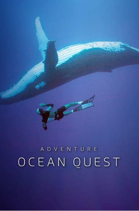 海洋冒险任务 Adventure Ocean Quest插图 海洋冒险任务 Adventure Ocean Quest