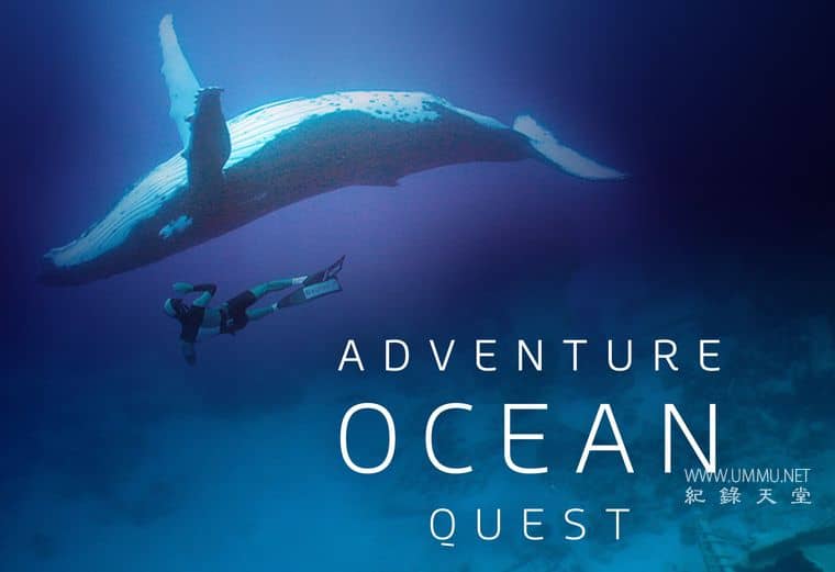 海洋冒险任务 Adventure Ocean Quest插图1 海洋冒险任务 Adventure Ocean Quest