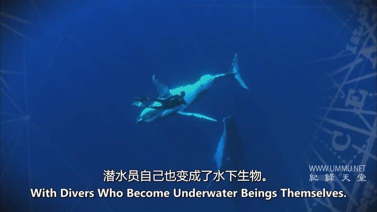 海洋冒险任务 Adventure Ocean Quest插图2 海洋冒险任务 Adventure Ocean Quest