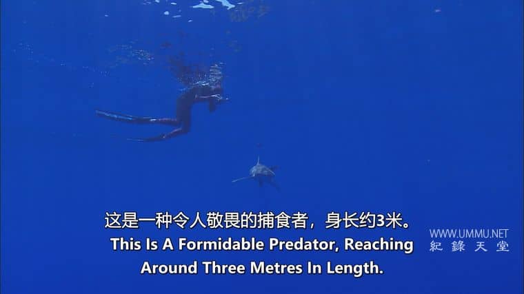 海洋冒险任务 Adventure Ocean Quest插图5 海洋冒险任务 Adventure Ocean Quest