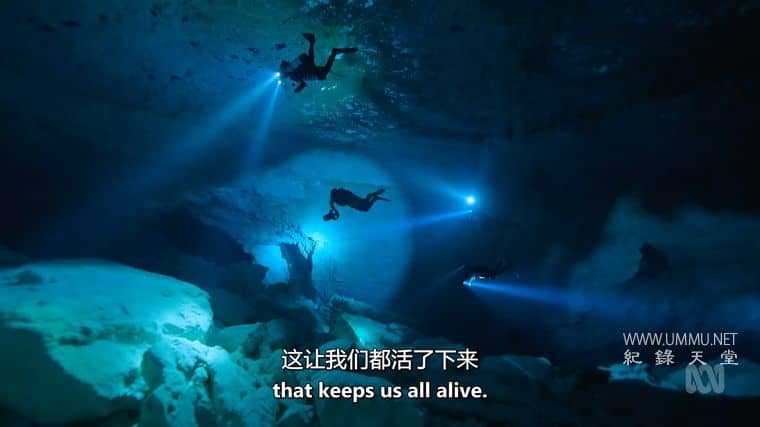 澳大利亚野性奥德赛 Australia's Wild Odyssey插图2 澳大利亚野性奥德赛 Australia's Wild Odyssey