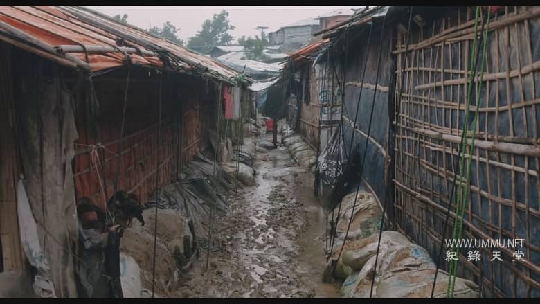 漂流:罗兴亚故事 Wandering:a Rohingya Story插图4 漂流:罗兴亚故事 Wandering:a Rohingya Story
