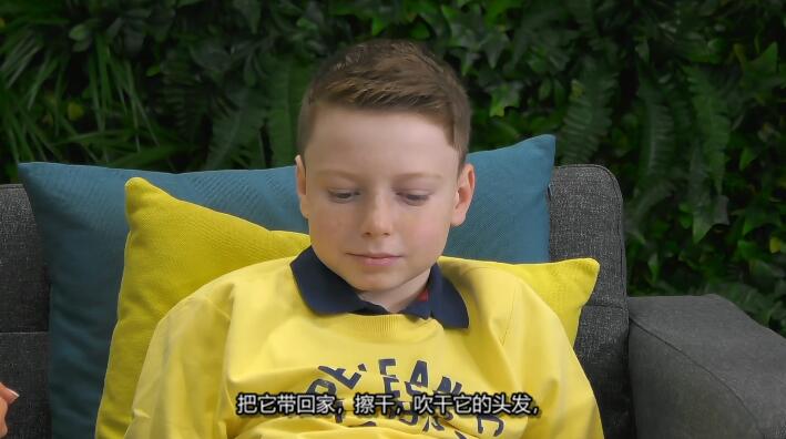 狗狗之家 第2季 The Dog House插图3 狗狗之家 第2季 The Dog House