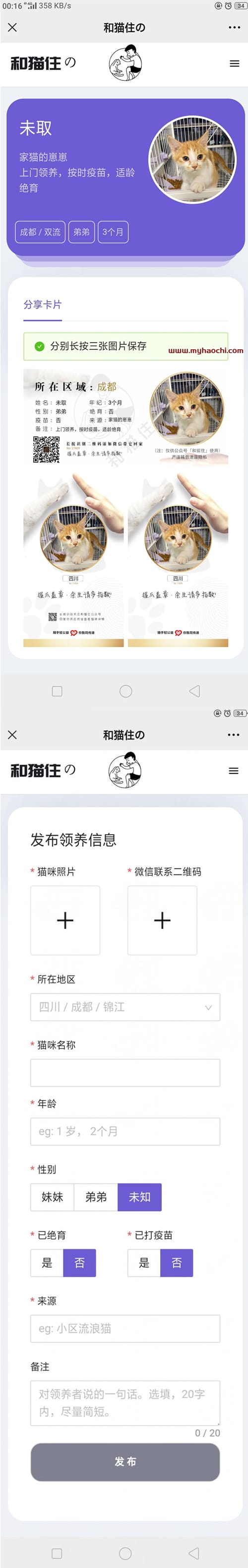流浪猫流浪狗发布H5源码下载 带演示插图 流浪猫流浪狗发布H5源码下载 带演示