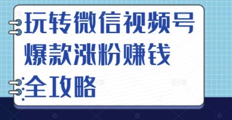 玩转微信视频号爆款涨粉赚钱全攻略,让你快速抓住流量风口,收获红利财富插图 玩转微信视频号爆款涨粉赚钱全攻略,让你快速抓住流量风口,收获红利财富