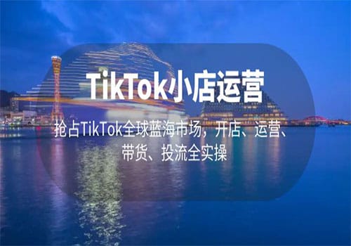 TikTok小店运营 抢占TikTok全球蓝海市场,开店、运营、带货、投流全实操插图 TikTok小店运营 抢占TikTok全球蓝海市场,开店、运营、带货、投流全实操