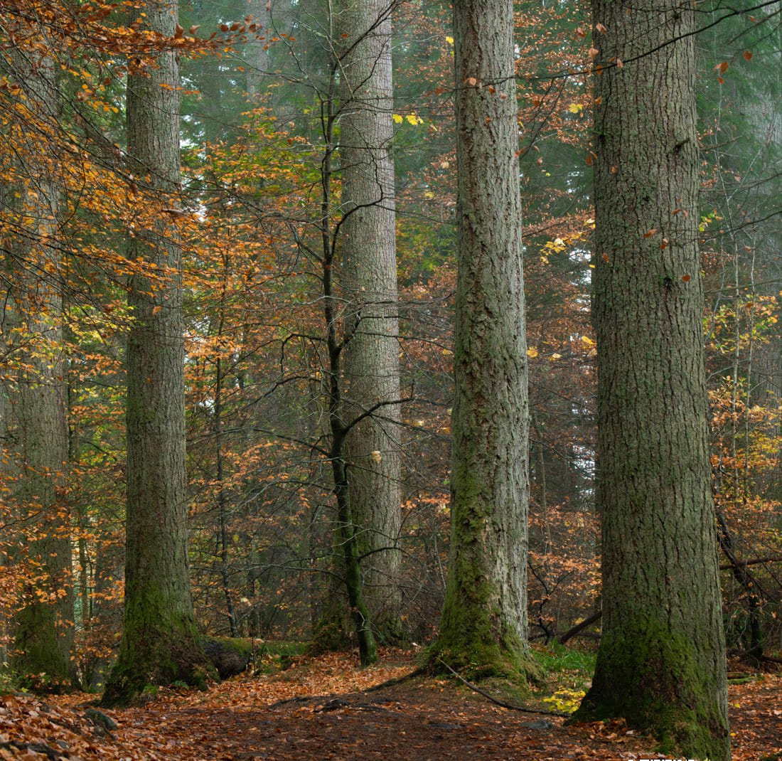 Alister Benn富有表现力的风光后期减淡和加深大师班-中英字幕插图5 Alister Benn富有表现力的风光后期减淡和加深大师班-中英字幕