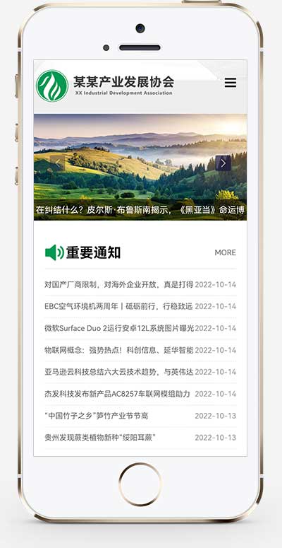 (自适应手机端)政府协会网站源码 绿色pbootcms产业发展协会网站模板