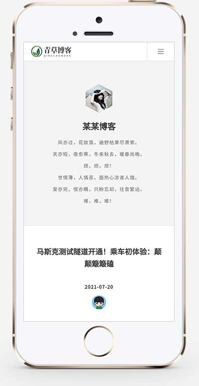 (自适应手机版)响应式极简个人博客自媒体类织梦模板 文章博客类网站模板下载