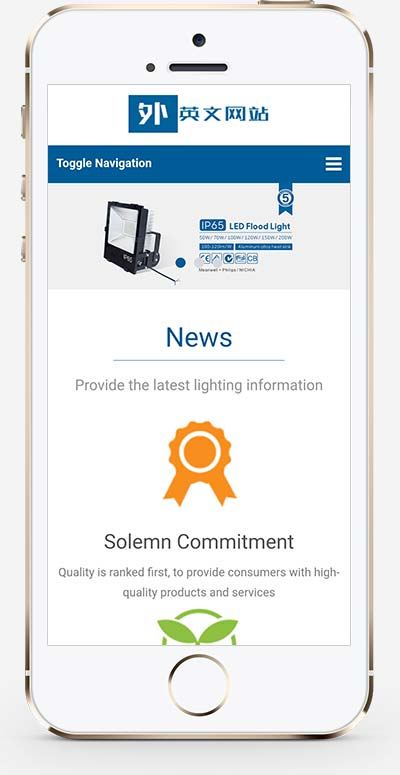 (自适应手机版)响应式外贸灯具网站织梦模板 LED灯具英文外贸网站模板下载