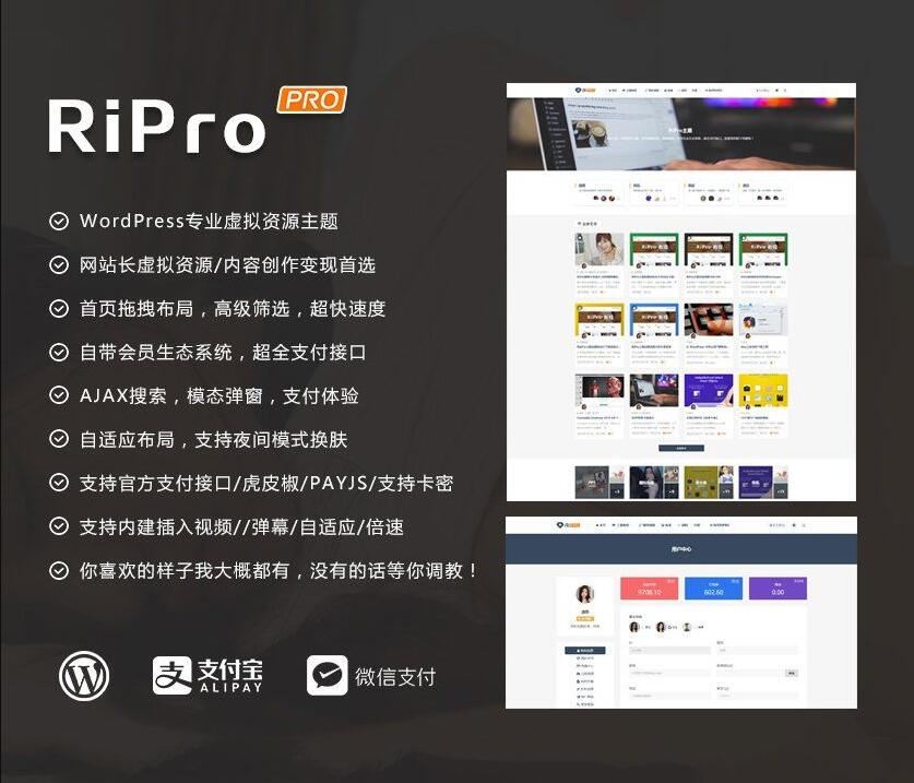 WordPress主题RiPro v8.6主题虚拟资源分享下载主题无限制版