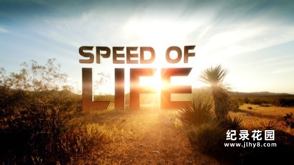 Discovery生命探索纪录片《生命的速度 Speed Of Life》全3集 720P/1080i高清纪录片百度云