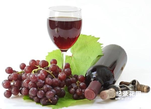 葡萄酒纪录片《葡萄酒指南 Wineworks -Your Complete Video Guide To Wine》全1集 标清纪录片百度云