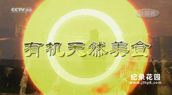 CCTV央视健康美食纪录片《有机天然美食 Under The Sun》全26集 720P/1080i高清纪录片资源百度云盘下载