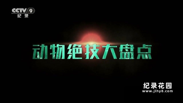央视猛兽捕猎技巧纪录片《动物绝技大盘点》全6集 TS/蓝光高清纪录片资源百度云盘下载