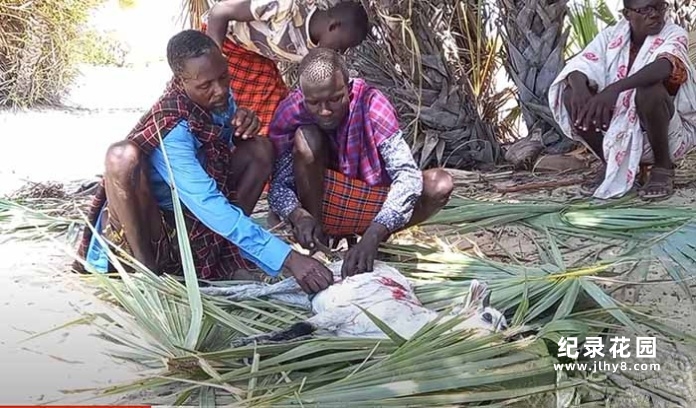非洲村落生活纪录片《非洲贫民美食》第1季中字 1080P高清自媒体解说素材百度云盘下载