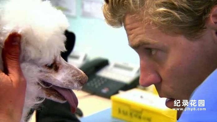 拯救动物纪录片《邦迪宠物医院》第4季中字 1080P高清自媒体解说素材百度云盘下载