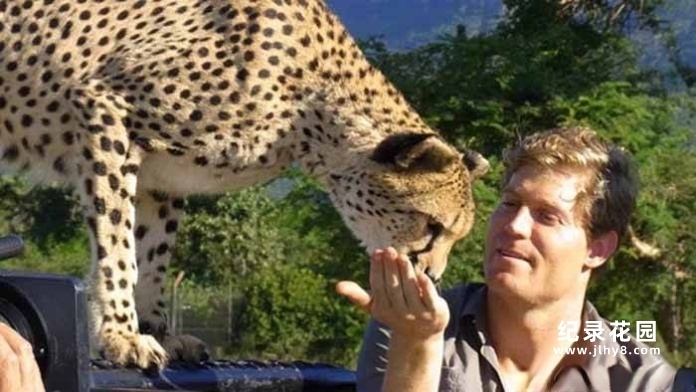 拯救动物纪录片《邦迪宠物医院》第2季中字 1080P高清自媒体解说素材百度云盘下载