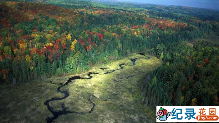 央视远方的家旅行纪录片《国家自然保护地》第49-73集 1080P纪录片资源百度云盘下载