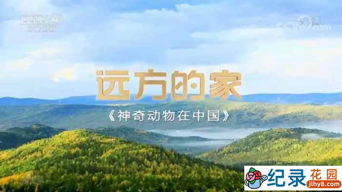 远方的家人文旅行纪录片《神奇动物在中国》第1部10集 1080P高清纪录片资源百度云盘下载