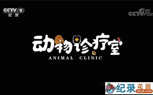 央视宠物医疗纪录片《动物诊疗室 Animal Clinic》全5集 TS/蓝光高清纪录片资源百度云盘下载 永久会员专享资源