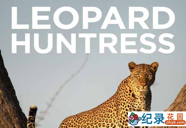 掠食动物纪录片 《花豹玛丽卡的生存之道 Malika Leopard Huntress》全1集中字 TS/蓝光高清纪录片资源百度云盘下载