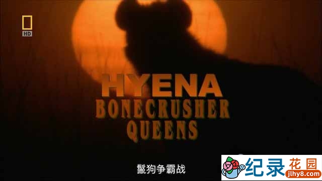 国家地理野生动物纪录片《鬣狗争霸战 Hyena:Bonecrusher Queen》全1集中字 720P/1080i高清纪录片资源百度云盘下载