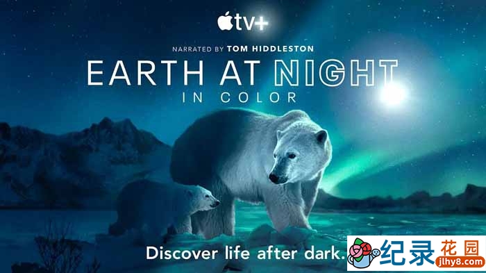 野生动物纪录片《夜色中的地球 Earth at Night in Color》第2季中字 2K/1080i高清纪录片资源百度云盘下载