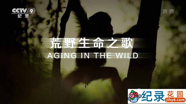 央视野生动物纪录片《荒野生命之歌 Aging in the Wild》全5集 TS/蓝光高清纪录片资源百度云盘下载