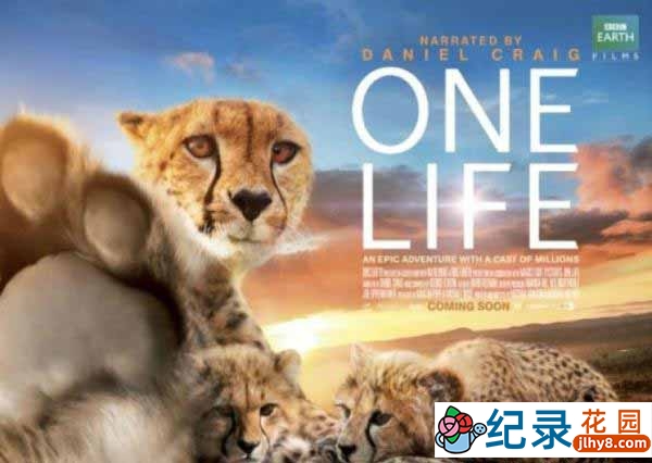 BBC野生动物纪录片《地球生灵 One Life》全1集 720P/1080i高清纪录片资源百度云盘下载