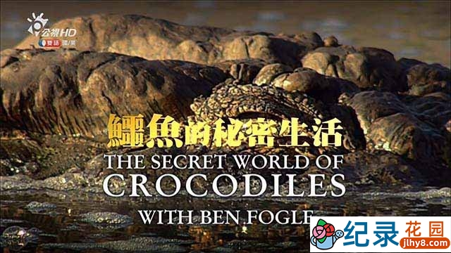 台湾公视HD野生动物纪录片《鳄鱼的秘密生活 The Secret Life of Crocodiles With Ben Fogle》全2集 720P/1080i高清纪录片百度云盘下载