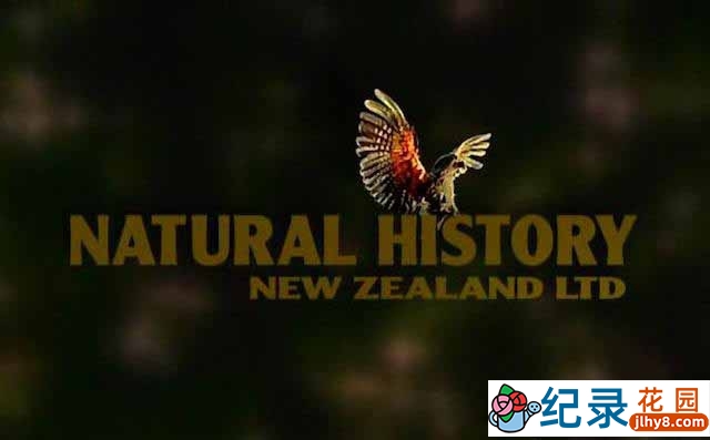 新西兰野生动物纪录片《动物趣闻之最 The Most Extreme》全66集 标清纪录片资源百度云盘下载