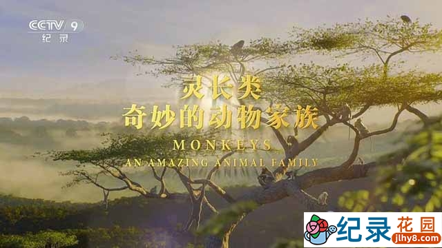 央视野生动物纪录片《灵长类：奇妙的动物家族》全3集 TS/蓝光高清纪录片资源百度云盘下载