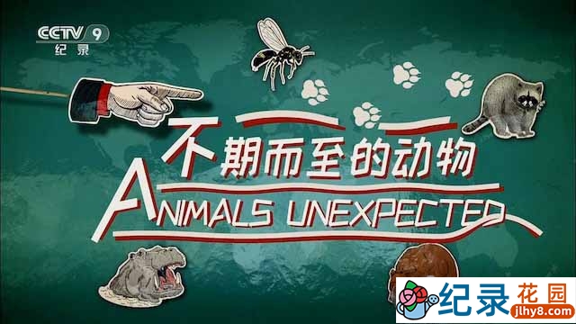 BBC生物入侵纪录片《不期而至的动物 Animals Unexpected》全1集中字 TS/蓝光高清纪录片资源百度云盘下载