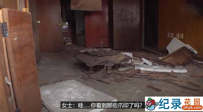 SBS韩国动物保护纪录片《拯救动物》第10季229集中字 720P/1080i高清纪录片资源百度云盘下载