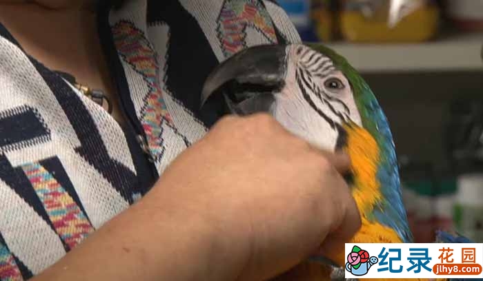 SBS韩国动物保护纪录片《拯救动物》第9季180集中字 720P/1080i高清纪录片资源百度云盘下载