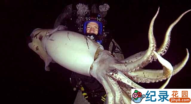 探索频道野生动物纪录片《与水怪同游 Swimming With Monsters: Steve Backshall》全4集中字 TS/蓝光高清纪录片资源百度云盘下载