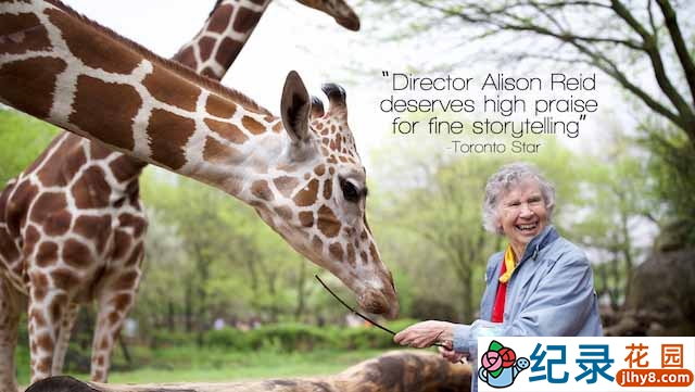 加拿大动物保护纪录片《爱长颈鹿的女人 The Woman Who Loves Giraffes》全1集 720P/1080i高清纪录片资源百度云盘下载