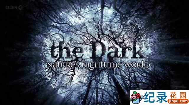 央视夜行动物纪录片《黑暗中的自然界 The Dark: Nature’s Nighttime World》全3集 720P/1080i高清纪录片资源百度云盘下载