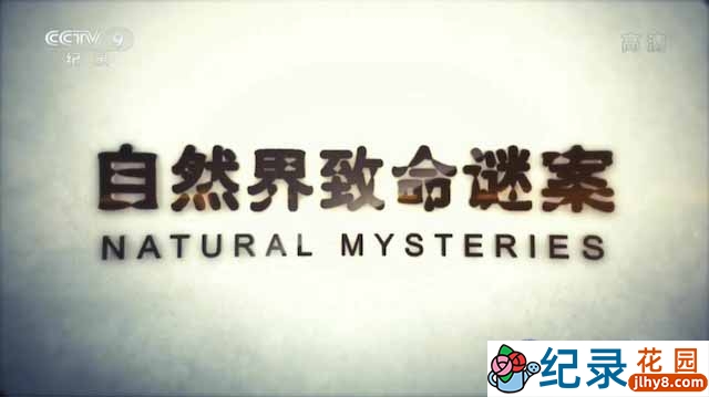 央视动物行为纪录片《自然界致命谜案 Natural Mysteries》全4集 720P/1080i高清纪录片资源百度云盘下载