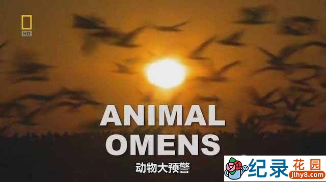 国家地理动物震前征兆纪录片《动物大预警 Animal Omens》全1集 720P/1080i高清纪录片资源百度云盘下载