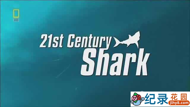 国家地理动物保护纪录片《21世纪鲨鱼 21st Century Shark》全1集 720P/1080i纪录片资源百度云盘下载
